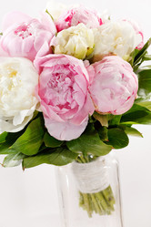 Similar image 2730419