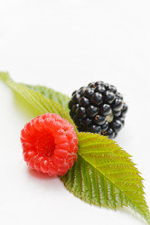 Similar image 2730436