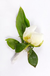 Similar image 2730445