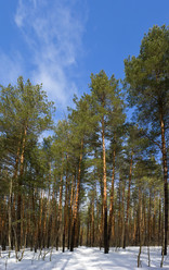 Similar image 2730462