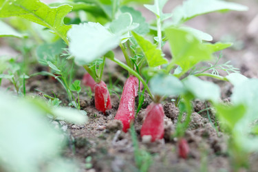 Similar image 2730489