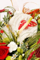 Similar image 2730492