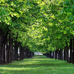 Similar image 2730514