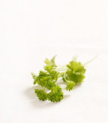 Similar image 2730527