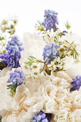 Similar image 2730534