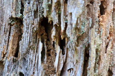 Similar image 2730541