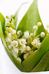 Similar image 2730546