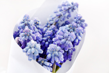 Similar image 2730547