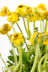 Similar image 2730548