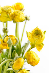 Similar image 2730556