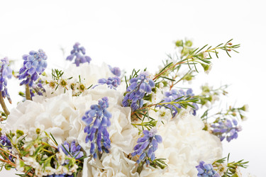 Similar image 2730559