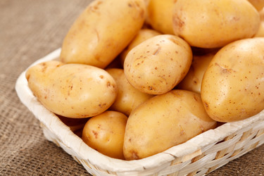 Similar image 2730568