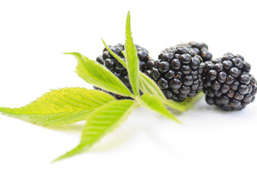 Similar image 2730583