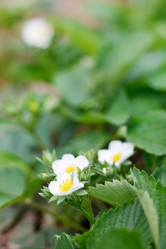 Similar image 2730586