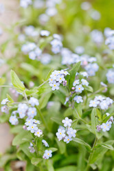 Similar image 2730588