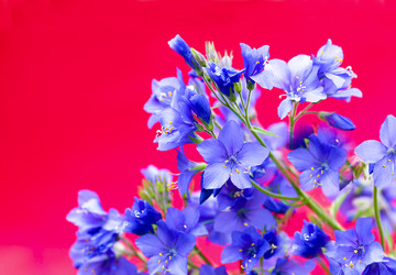 Similar image 2730652