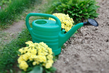 Similar image 2730912