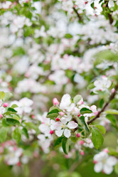 Similar image 2730926