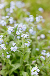 Similar image 2730927