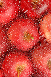 Similar image 2730935