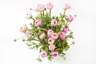 Similar image 2730941