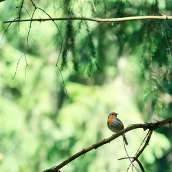 Similar image 2730943