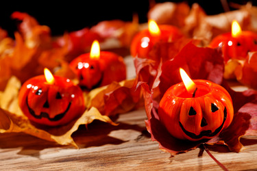 Similar image 2730948