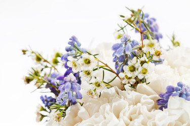 Similar image 2730958