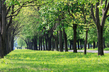 Similar image 2730961