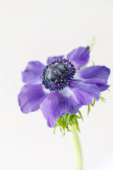 Similar image 2730963