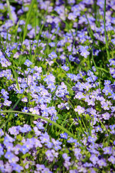 Similar image 2730970