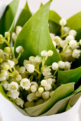 Similar image 2730971