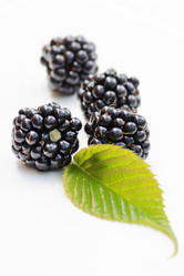 Similar image 2730974