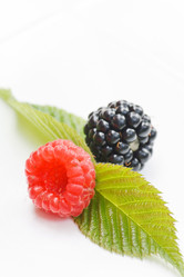 Similar image 2730975