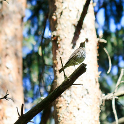 Similar image 2730979