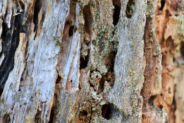 Similar image 2730982