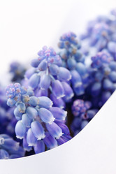 Similar image 2730984