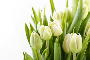 Similar image 2730987