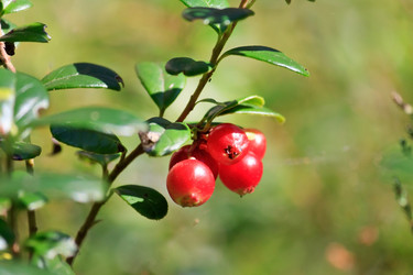 Similar image 2730990