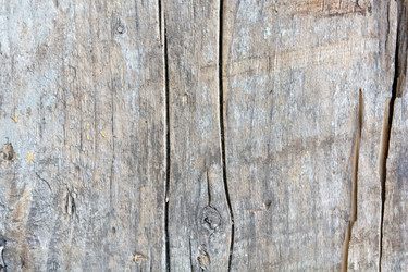 Similar image 2731058