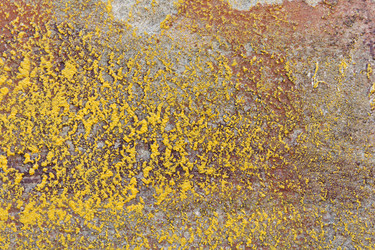 Similar image 2731062