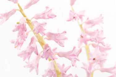 Similar image 2731068