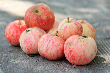 Similar image 2731071