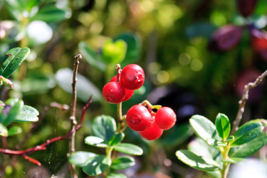 Similar image 2731083