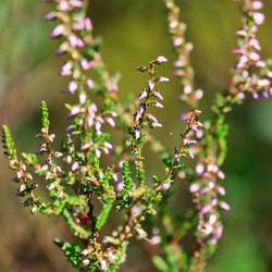 Similar image 2731090