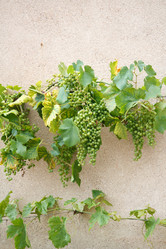 Similar image 2731096