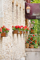 Similar image 2731097