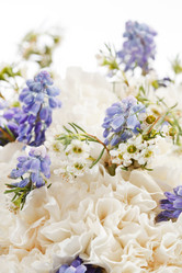 Similar image 2731098