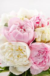 Similar image 2731100