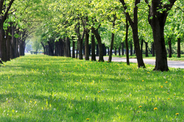 Similar image 2731106